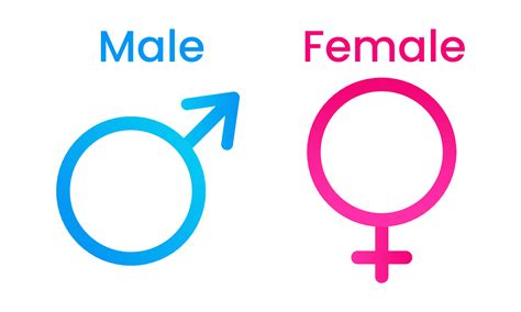 Flat design gender symbols. Male and Female 22414357 Vector Art at Vecteezy