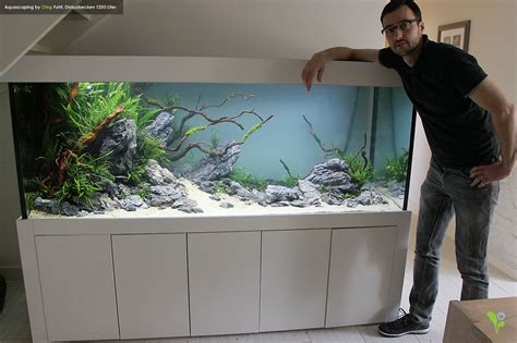 Biconeo Aquascaping | Fish tank, Aquarium landscape, Aquarium fish tank