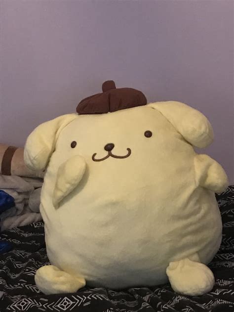 My official pompompurin plushie arrived today, I bought him on depop for £30! I couldn’t be any ...