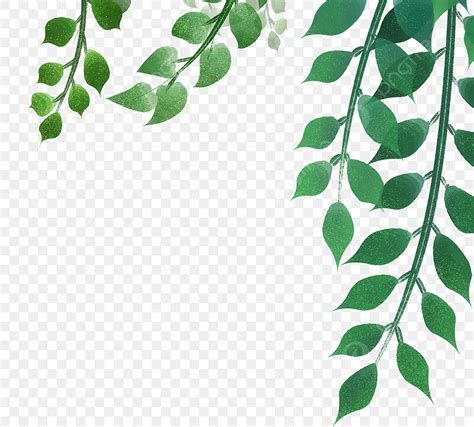 Cartoon Green Leaves PNG Image, Cartoon Hand Drawn Green Decorative ...