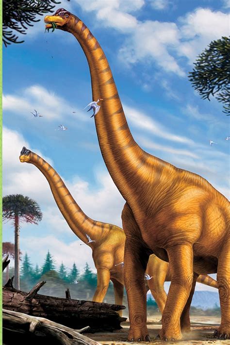 Argentinosaurus Vs Brachiosaurus