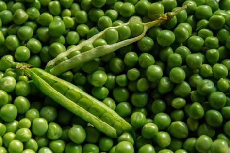 Free Images : food, plant, vegetable, fruit, lima bean, produce, Split pea, legume, ingredient ...