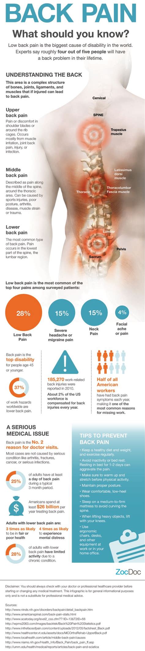 [INFOGRAPHIC] Chronic Back Pain: What you Should Know - Comprehensive ...