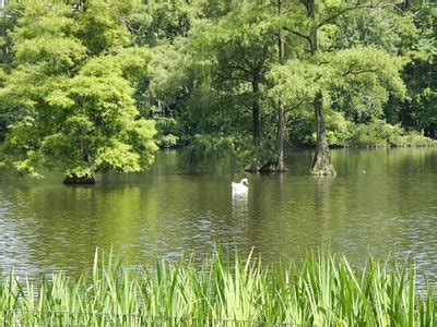 Sumter, SC 2024: Best Places to Visit - Tripadvisor