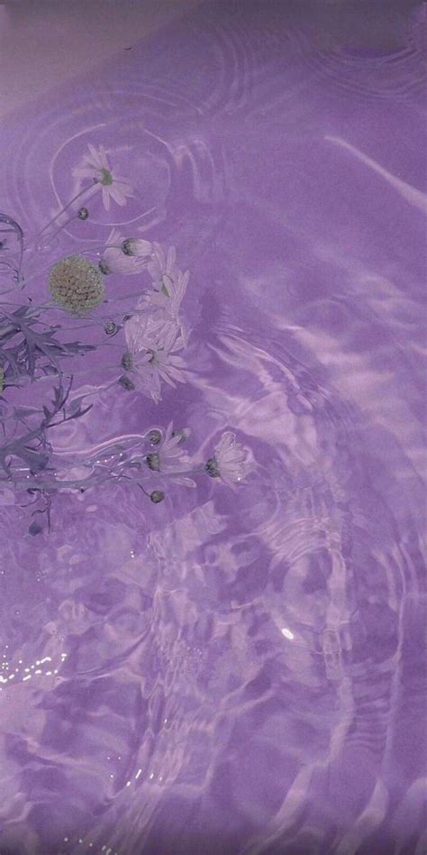 Lavender Cute Purple Aesthetic Wallpaper - art-floppy