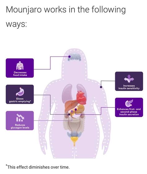 Mounjaro Science | CNMRI: Neurology, Sleep Medicine, MRI