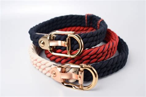 Premium AI Image | Fashionable collar and leash combination for stylish ...