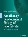 Arthropod Embryology: Cleavage and Germ Band Development | SpringerLink