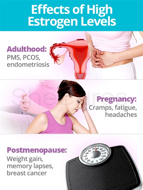 Estrogen Levels | SheCares