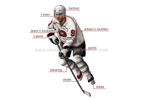 SPORTS & GAMES :: WINTER SPORTS :: ICE HOCKEY :: ICE HOCKEY PLAYER [1 ...