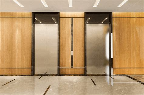 3M DI-NOC Wood Grain Architectural Finishes | Fight Deforestation