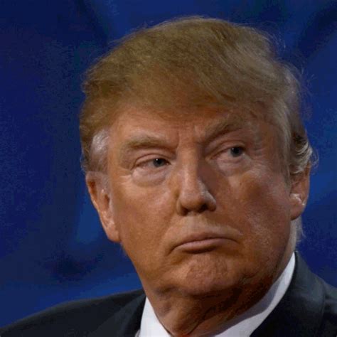 donald trump | GIF | PrimoGIF