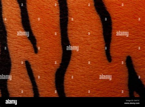 tiger fur texture Stock Photo - Alamy