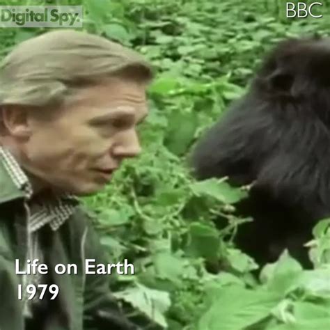 Sir David Attenborough's new documentary terrifies viewers