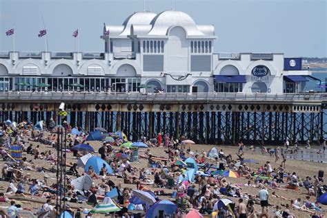 Seagulls could be cause of pollution that might keep bathers out of the sea | The Independent