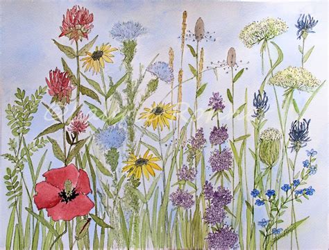 SOLD Wildflower Garden Watercolor Illustration Nature Art Original Painting