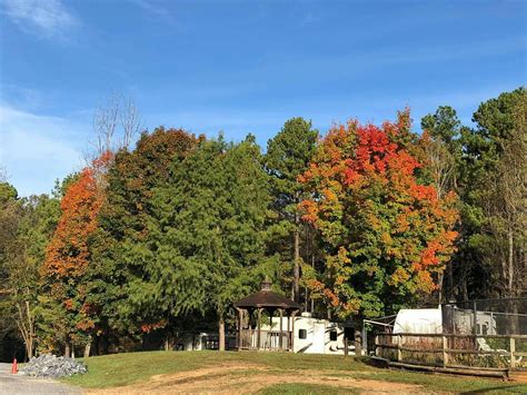 Shenandoah Valley Campground - 5 Photos, 1 Reviews - Verona, VA