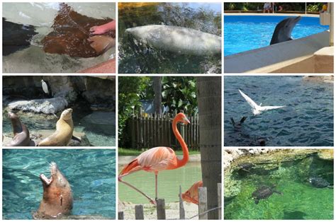 The Wonders of SeaWorld Orlando | Simply Being Mommy