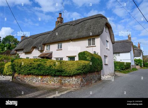 Pretty, thatched roof traditional cottages in Farnham village, Dorset ...