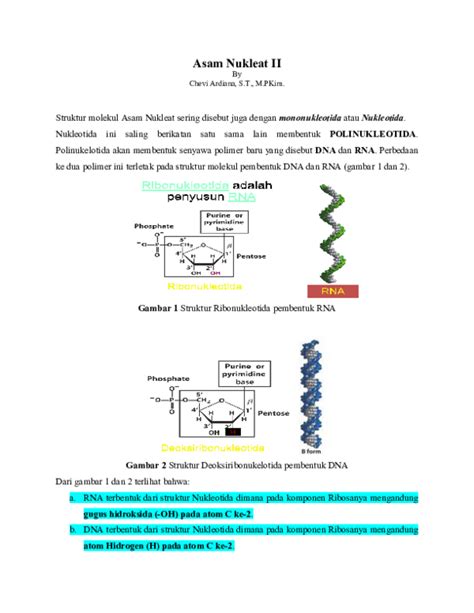 (PDF) Asam Nukleat II | Chevi Ardiana - Academia.edu