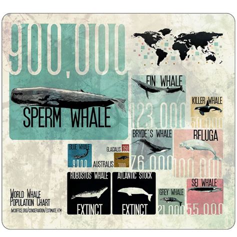 world whale population chart by Neko ink., via Flickr | Whale, Chart infographic, Infographic