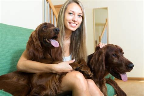 Animal Breeder - Salary, How to Become, Job Description & Best Schools