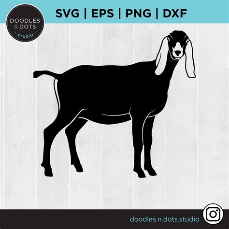 Show Goat Svg Nubian Goat Svg Stock Show Svg for Cricut - Etsy