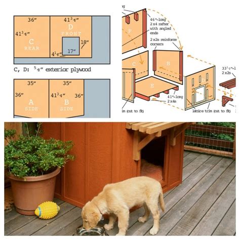 14 DIY Dog Houses: How to Build a Dog House (Plans + Blueprints) (2023)