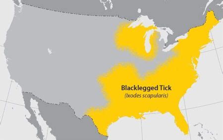 Pin on Lyme Disease Maps and Charts