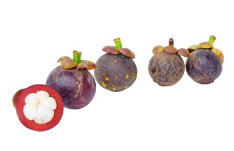 Mangosteen Malaysia Organic White, Mangustan, Queen, Fresh PNG Transparent Image and Clipart for ...