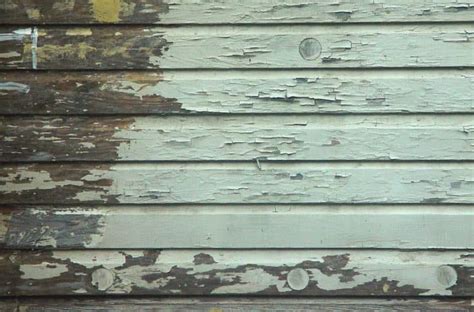 peeling paint due to moisture on wood siding on an old house | Wood siding, Wood siding exterior ...