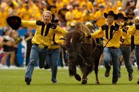 Ralphie IV, retired Colorado Buffaloes mascot, dies at 19 – The Denver Post