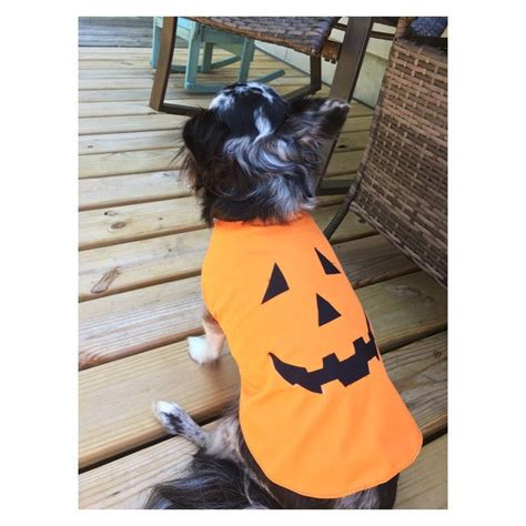 Dog Pumpkin Costume/pet Pumpkin Costume/halloween Pumpkin - Etsy