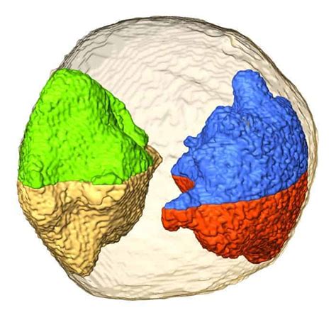 Electron tomography peers into the nanoworld – Physics World