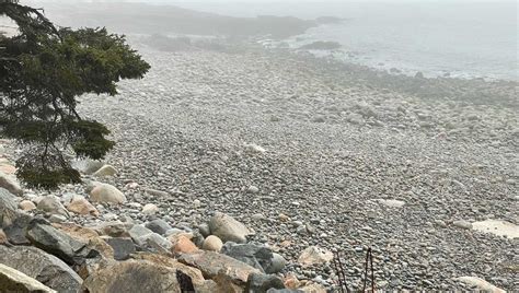 Can you spot the seal pup? It's hiding on this national park coastline