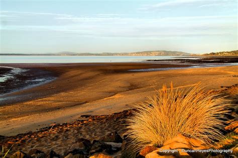 Monifieth Beach - Photo "Monifieth Beach, Angus, Scotland" :: British Beaches