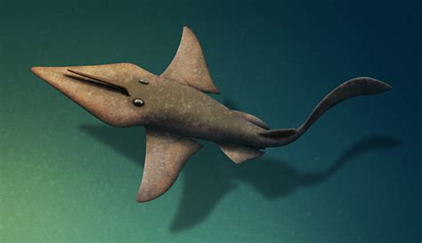 Falcatus Shark