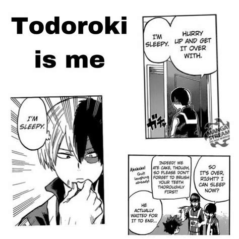 Todoroki Shouto | Boku no hero academia funny, My hero academia memes ...