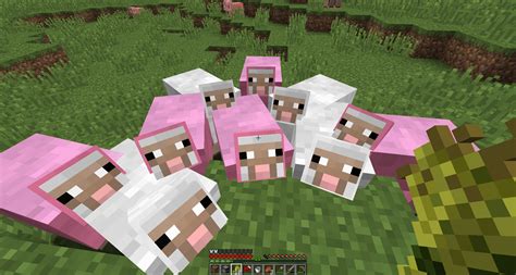 Pink Sheep Minecraft