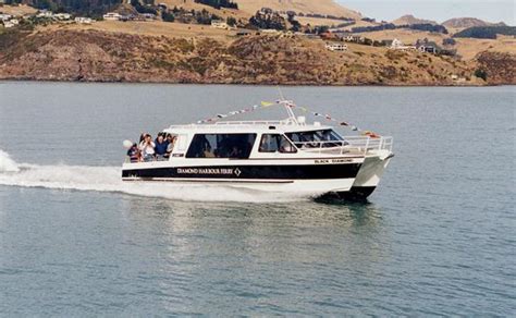 Free Diamond Harbour Ferry services | infonews.co.nz New Zealand News