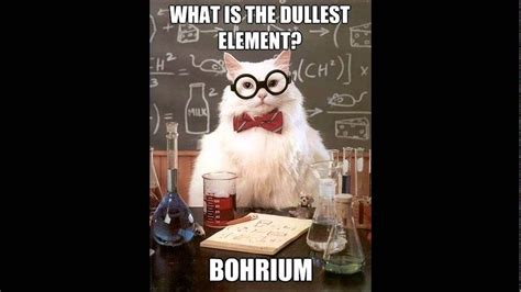 Chemistry Cat Memes - YouTube