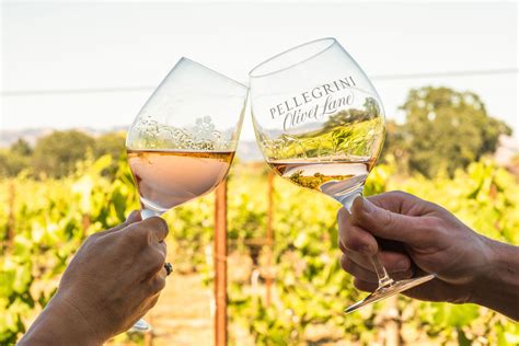 Best Santa Rosa Wineries To Try in a Weekend - Sonoma.com