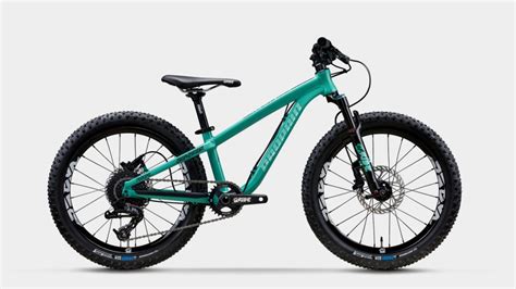 Best Kids Mountain Bikes: 15 Brands that Deliver (2021) - Rascal Rides