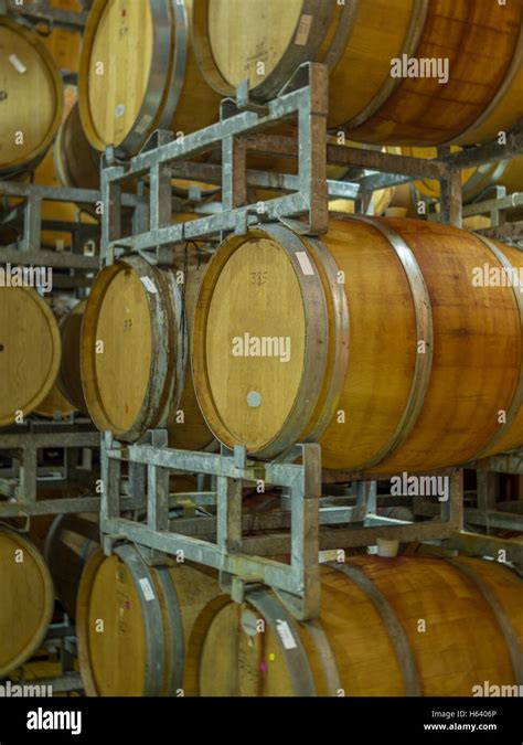 Oak barrels for aging wine Stock Photo - Alamy