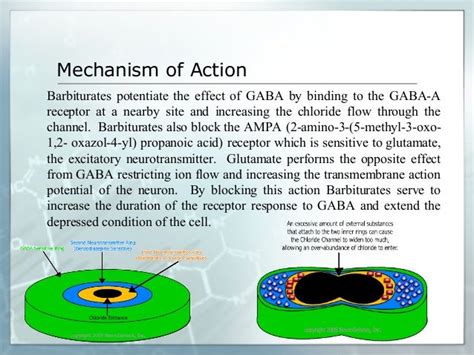 Benzodiazepine Mechanism Of Action : Benzodiazepines Mechanism of Action Andpharmacology ...