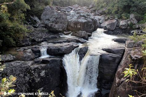 Ranomafana National Park — Say it Three Times Fast! | Holbrook Travel