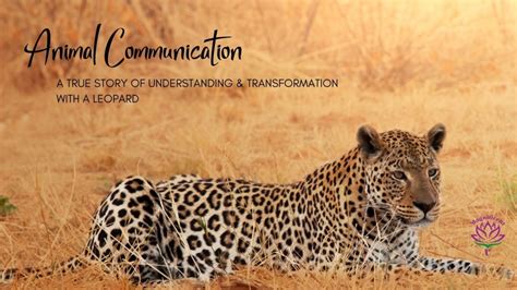 Animal Communication, a True Story of Understanding and Transformation with a Leopard ...