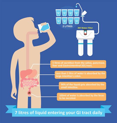 To Drink Water Before or After Food? - HealthWorks Malaysia