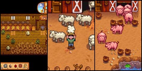 Most Profitable Animal Products In Stardew Valley