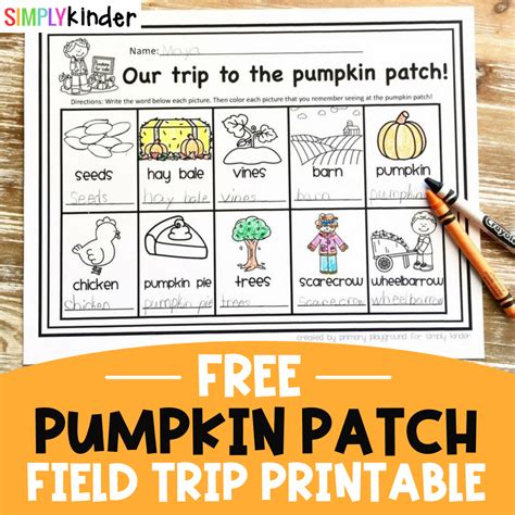 Pumpkin Patch Field Trip - Simply Kinder